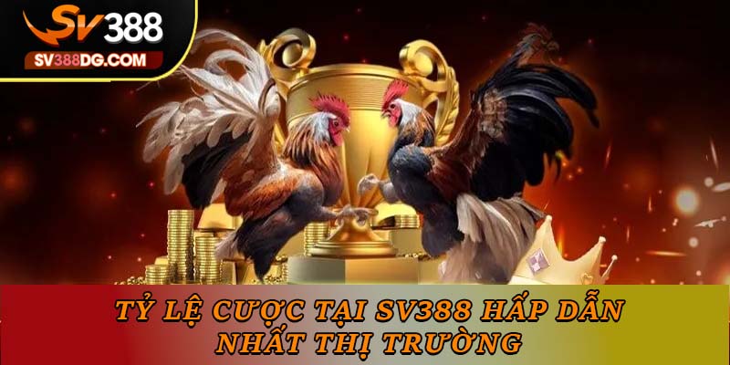 Tỷ lệ cược tại SV388 hấp dẫn nhất thị trường Tỷ lệ cược tại SV388 hấp dẫn nhất thị trường
