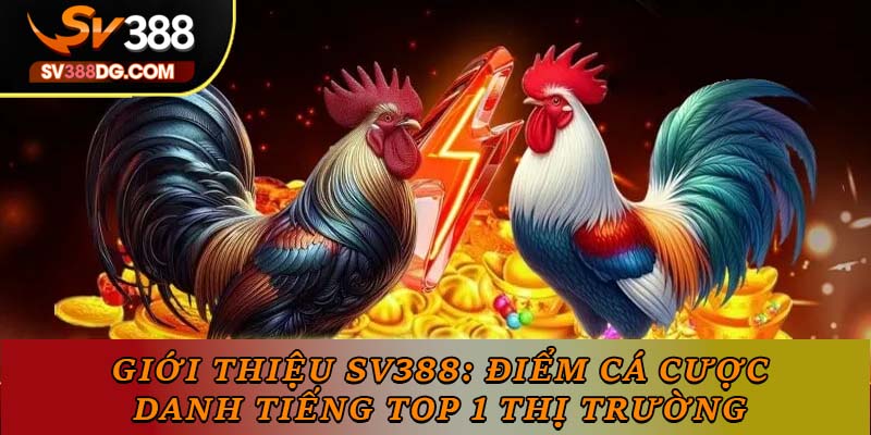 Giới Thiệu SV388: Điểm Cá Cược Danh Tiếng TOP 1 Thị Trường Giới Thiệu SV388: Điểm Cá Cược Danh Tiếng TOP 1 Thị Trường